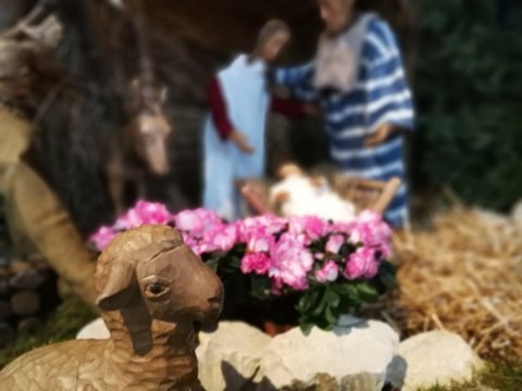 Krippe gucken in offener Kirche