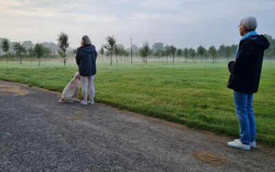 Sommerkirche – Meditation zum Sonnenaufgang